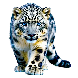 Snow Leopard With Blue Eyes Png 33 PNG image