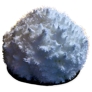 Snow Pile For Kids PNG Wyh46 PNG
