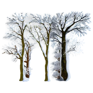 Snow Veiled Trees PNG 17