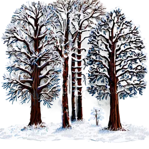 Snow Veiled Trees PNG 67