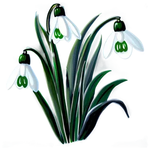 Snowdrops Winter Flowers PNG 04292024