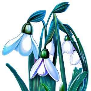 Snowdrops Winter Flowers PNG Evl