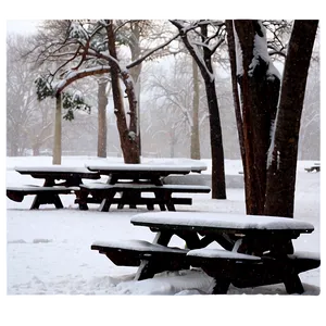 Snowfall Over Picnic Area Png 98 PNG image