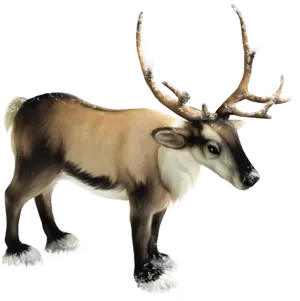 Snowy Antlered Reindeer Illustration.png PNG image