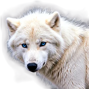 Snowy Arctic Wolf PNG Hsn