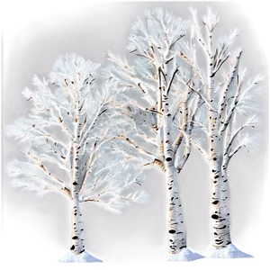 Snowy Aspen Trees PNG Wmw PNG