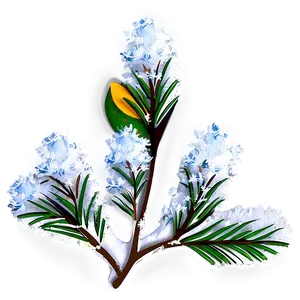 Snowy Branches Transparent PNG Onx50 PNG