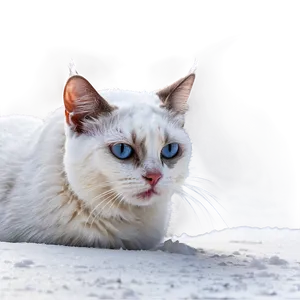 Snowy Cat Meme Png 05212024 PNG image