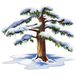 Snowy Cedar Tree Png 46 PNG image