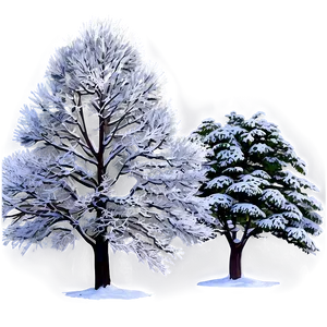 Snowy Country Trees PNG 06292024