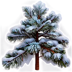 Snowy Fir Tree Png Noi6 PNG image