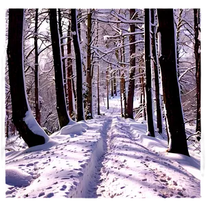 Snowy Footpath Through Woods PNG Ajl