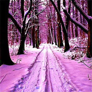 Snowy Footpath Through Woods PNG Thf92