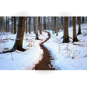 Snowy Footpath Through Woods Png Ynm PNG image