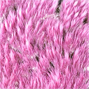 Snowy Fur Texture PNG 06272024