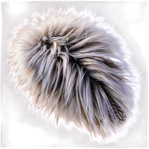 Snowy Fur Texture PNG 58