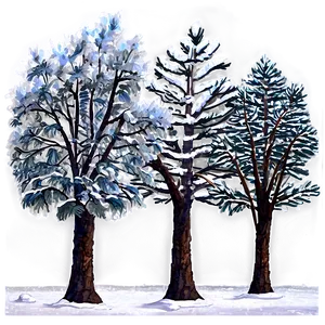 Snowy Grove Trees PNG 06292024 PNG