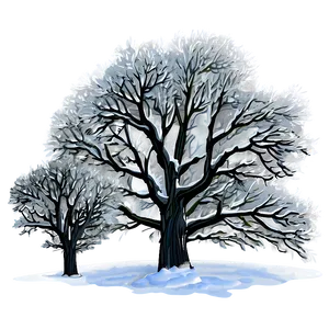 Snowy Grove Trees PNG Wgk69 PNG