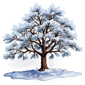 Snowy Maple Tree PNG Qir