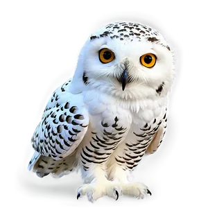 Snowy Owl Bird PNG Nwv
