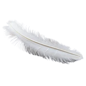 Snowy Owl Feather Png 54 PNG image