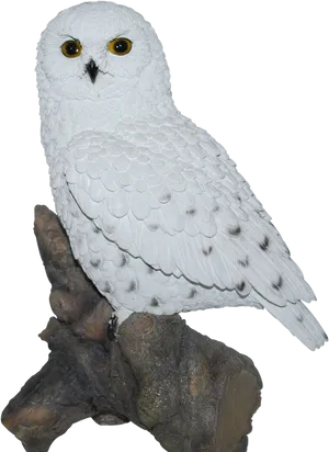 Snowy Owl Perchedon Branch