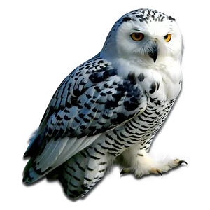 Snowy Owl Png 05062024 PNG image
