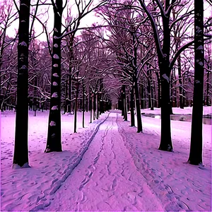 Snowy Path Through Winter Trees PNG Sou48 PNG