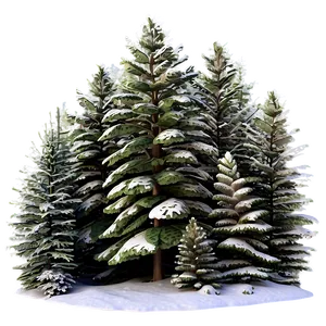 Snowy Pine Forest Trees PNG 22 PNG