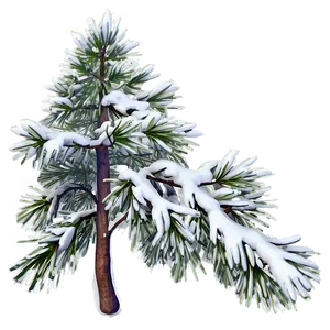 Snowy Pine Tree Png Uem77 PNG image