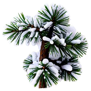 Snowy Pine Tree With Cones Png Dte33 PNG image