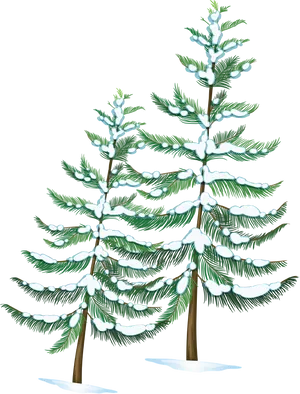 Snowy Pine Trees Night Illustration PNG