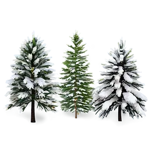 Snowy Pine Trees PNG 05042024