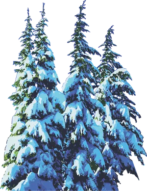 Snowy Pine Trees Winter Scene PNG