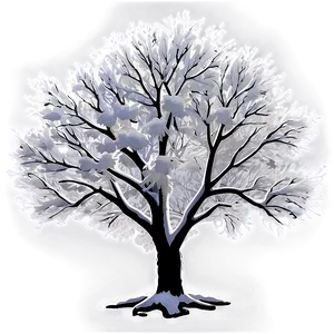 Snowy Poplar Tree PNG 06272024