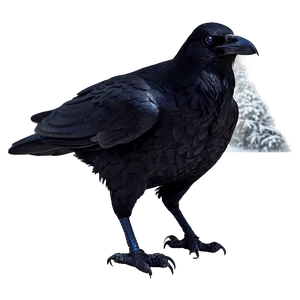 Snowy Raven Png 05062024 PNG image