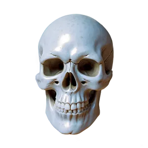 Snowy Skull Decoration PNG B PNG