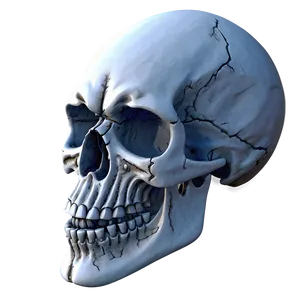 Snowy Skull Decoration PNG D PNG