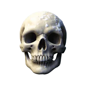 Snowy Skull Face Picture PNG 81