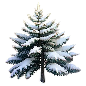 Snowy Spruce Trees PNG Sul PNG