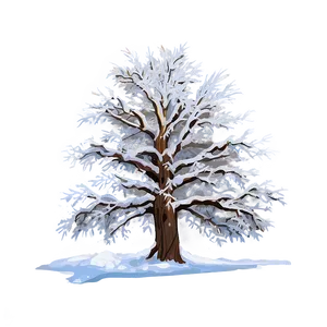 Snowy Tree At Sunrise PNG 06212024