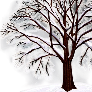 Snowy Tree At Sunrise PNG Xqu25 PNG