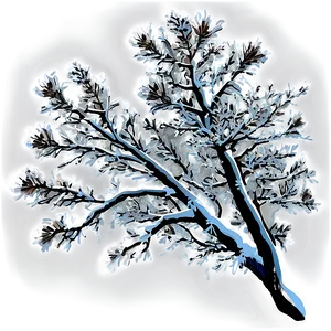 Snowy Tree Branches Png 06212024 PNG image