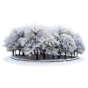 Snowy Tree Canopies PNG Tuj1