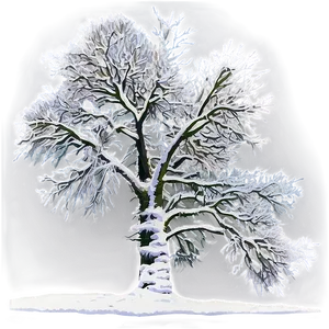 Snowy Tree In Field PNG Cko36 PNG