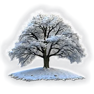 Snowy Tree In Forest Png 60 PNG image