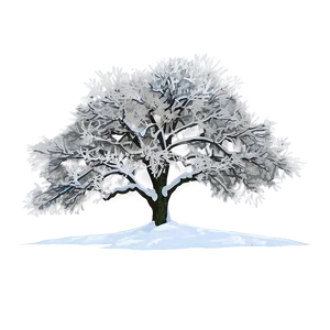 Snowy Tree In Meadow PNG Qdi PNG