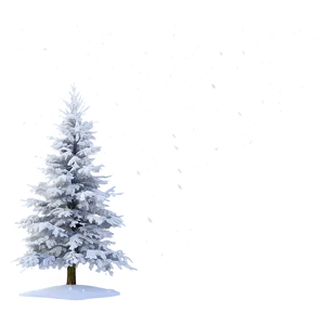 Snowy Tree In Mist PNG 06272024 PNG