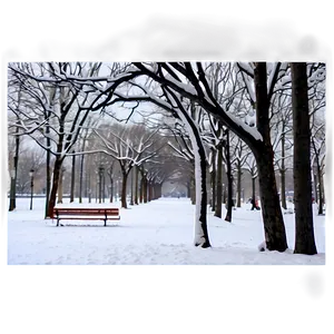 Snowy Tree In Park PNG Cdw PNG