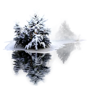 Snowy Tree Reflection PNG 33 PNG